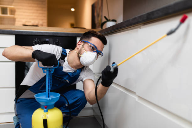 Trusted Palmer, TX Pest Control Experts