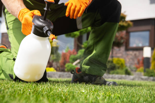 Best Wildlife Control Services  in Palmer, TX