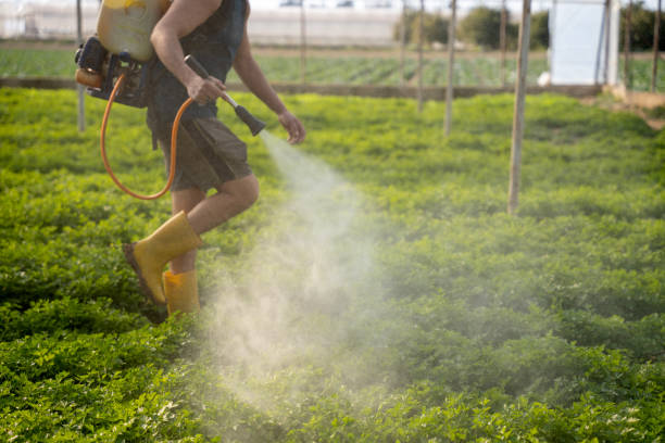 Reliable Palmer, TX Pest Control Solutions