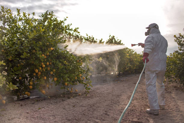 Best Emergency Pest Control  in Palmer, TX